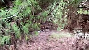 Hey, check out this wild gay cruising spot with public group blowjobs and cumshots outdoors!