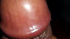 Solo black bull's creamy cumshot