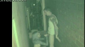 Caught on camera: Couple indulges in some outdoor lesbian action
