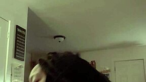 Big cocked black man gives a good blowjob