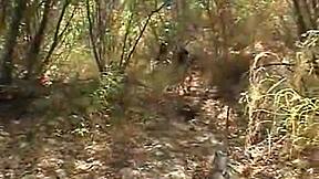 Brunette teen Chloe and her petite partner enjoy outdoor lesbian pussy play