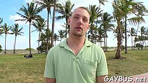 Gaygay's collection of gay bear porn scenes