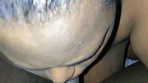African American bbw with a big butt twerks while getting fucked from behind