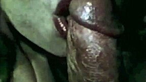 Retro hairy pussy threesome: A historical perspective