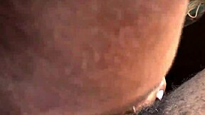 POV view of car blowjob