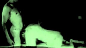 Vintage porn with mature and hairy beaver