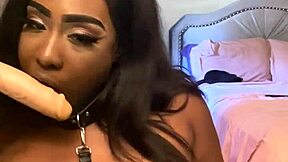 Lexo, the submissive ebony, gives an enthusiastic blowjob