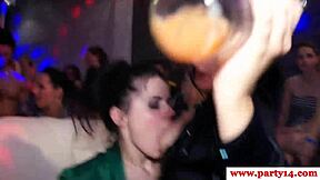 Amateur European sluts get fucked after oral sex