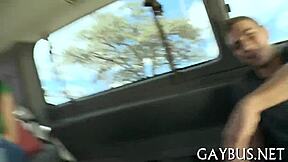 Enjoy free homosexual sex videos