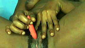 Indulging both my anal and vaginal desires with a toy