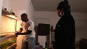 Beautiful black beauty gets a hard doggy style fuck and loves it.
