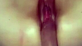 Big tits homemade video with deepthroat and anal sex