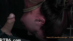 Free XXX porn with a hot blowjob and hardcore sex