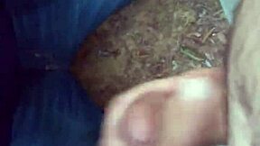 Gay blowjob action in River Forest Park ends up in a nature-filled orgasm