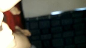 A collection of videos with a theme of pleasure and a Mexican origin