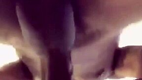 Amateur black cock lover gets pounded