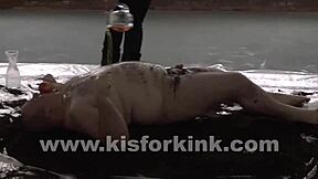 BDSM fetish content for National Pig Day