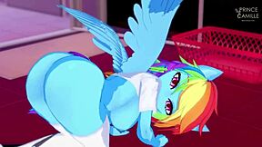 My Little Pony: Rainbow Dash and her passionate riders