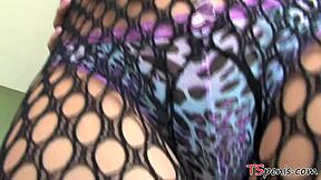 Beautiful transsexual Crystal with small breasts
