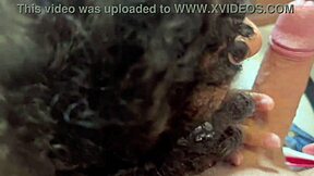 Alternative porn video with Italian and European babes