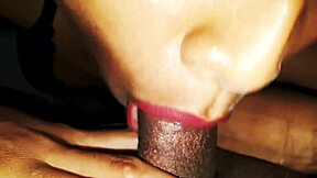 Mexi barbie sucks and licks her stepbrother's cock