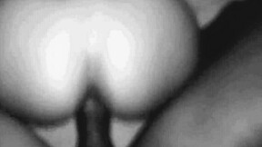 A random collection of hot sex scenes with black cock and doggy style action