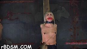 A blonde girl is tied up and gets her private part stimulated with a toy