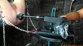 26 11 BBD's wild ride on the sex machine