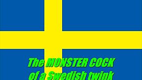 Svensson the Swedish twink shows off his big cock