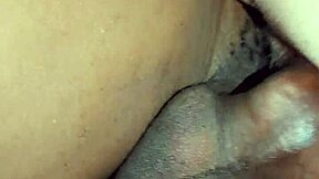 Big tits homemade brunette gets black cock in her pussy