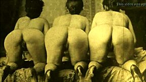 Hairy pussy and beaver delight in Victorian gentleman's diary