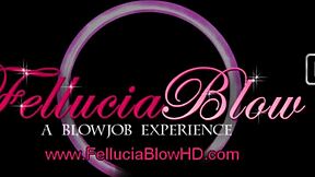 Love making with a sensual blowjob and a happy ending