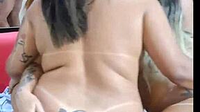 Beautiful Brazilian amateur party in a motel room gets wild