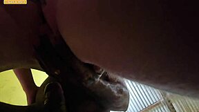 Beautiful amateur gets pregnant with big black cock