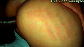 Big cocked stud dominates and ass fucks young Latina