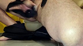 Trovato qualcosa di insolito nella casa, una signora्कर