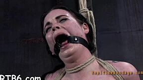 Zealous GA Whipping for Babe in Rough Hardcore POV Blowjob