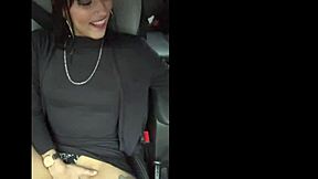 I drove her home after the party. She thanked me by sucking my cock in the car.